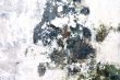 Grunge wall