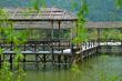 Wooden bridge