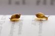 Small snails