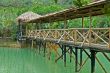 Wooden bridge