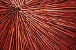 Decorative with stalks