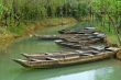 Rowboats