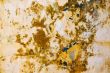Grunge wall