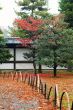 Japanese garden