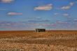 Unfertile Land