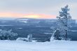 winter landscape / lonely tree, sun and valley