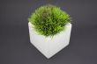 White vase with grass
