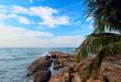 Stones on the sea and palm tree