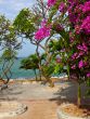 Flowers and the sea