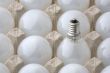 Light Bulbs