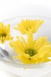 yellow flowers