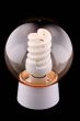 The fixture with a luminescent lamp