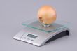 Bulb on scales