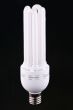 Luminescent bulb
