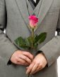 Rose and Suit