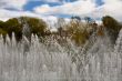 big fountain