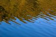 Water Reflection