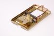 Empty mousetrap