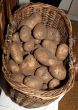The potatoes in the old basket