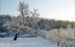 Winter park sight