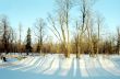 Short sunny winter day