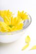 yellow flowers
