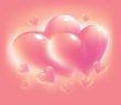 pink hearts for valentine day