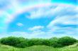  year landscape