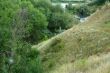  year landscape