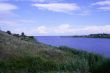  year landscape