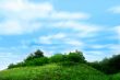  year landscape