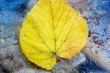 Autumn at the sea