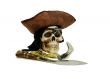 Pirate skull and booty