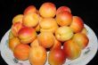 fresh apricot