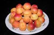 fresh apricot