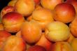fresh apricot