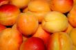 fresh apricot