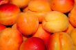 fresh apricot