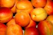 fresh apricot