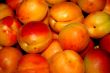 fresh apricot