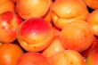 fresh apricot
