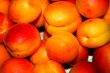 fresh apricot