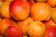 fresh apricot