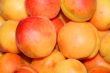 fresh apricot