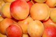 fresh apricot