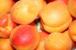 fresh apricot