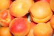 fresh apricot