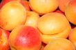 fresh apricot