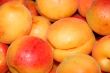 fresh apricot