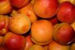 fresh apricot